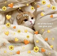 Image result for Sibling Love Cat Meme