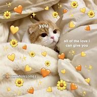 Image result for Cat Meme Emoji in Love