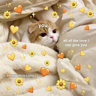 Image result for Cats in Love Meme