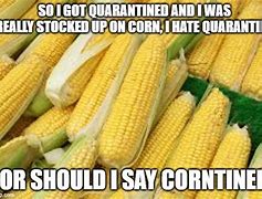 Image result for Ohio Corn Meme