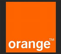 Image result for Light Orange Logo