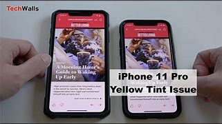 Image result for iPhone 11 Yellow Dot