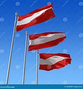 Image result for Austrian Flag