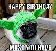 Image result for Funny Birthday Wishes