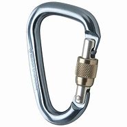 Image result for Small Carabiners