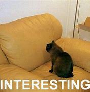 Image result for Cat Google's Spot On Couch Meme