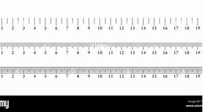 Image result for 12-Inch Ruler Print Out