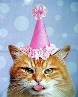 Image result for Happy Birthday Meme Cat Kitten