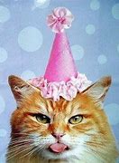 Image result for Kitty Cat Birthday Meme