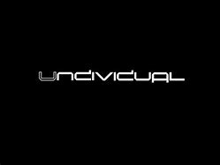 Image result for undividual