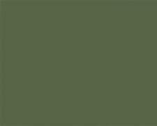 Image result for Best Color with Olive Green