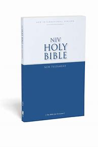 Image result for New Testament NIV Bible