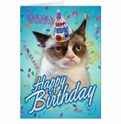 Image result for Grumpy Cat Happy Birthday Bird