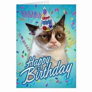 Image result for Grumpy Cat Birthday Cards