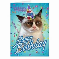 Image result for Grumpy Cat Birthday Cards