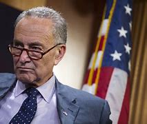 Image result for Charles Schumer