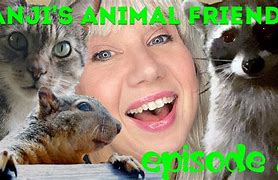 Image result for Animal Friends Memes