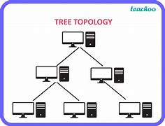 Image result for Types of Topology