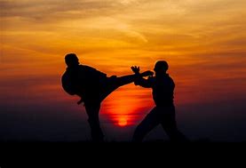 Image result for Karate Photography