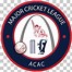Image result for Logo for Cricket Team