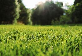 Image result for Grass Valley Wallpaper