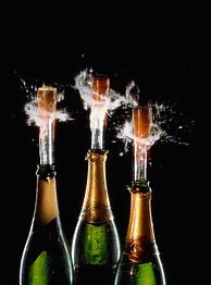 Image result for Champagne Bottle Cork