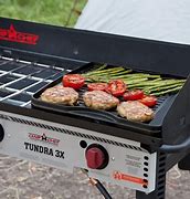 Image result for Camp Chef Tundra DLX
