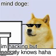 Image result for Hacker Dog Meme