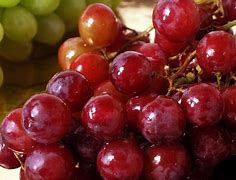 Image result for Hydroponic Grapes