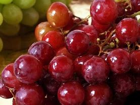 Image result for Growing Grapes in Clay Soil