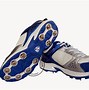 Image result for Indian Cricketer Shoes