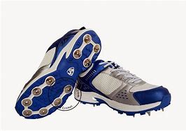 Image result for Indian Cricketer Shoes