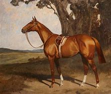 Image result for Chestnut Racehorse