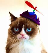 Image result for Grumpy Cat Payday