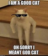 Image result for Oh My God Cat Meme