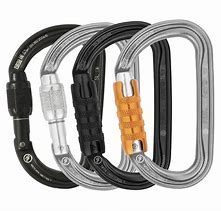 Image result for Petzl Riggers Carabiner