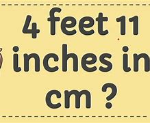 Image result for 4 Feet 11 Inches in Cm