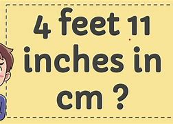 Image result for 4 Foot 11 in Cm