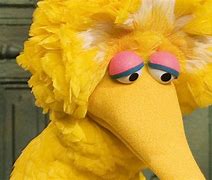 Image result for Sad Bird Meme