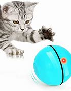 Image result for Cat Ball Toy