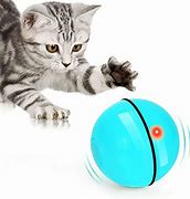 Image result for Smart Cat Toys