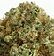 Image result for Fire OG Marijuana Strain