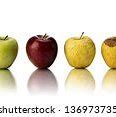 Image result for Apple Life Cycle Pictionary Free Printable