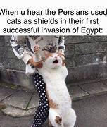 Image result for Cat Shield Meme