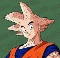 Image result for Bald Drip Goku