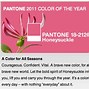 Image result for Rose Gold Pantone CMYK