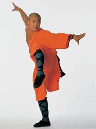 Image result for deadliest kung fu styles