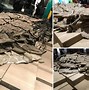 Image result for Largest Dinosaur Fossil Ever Found