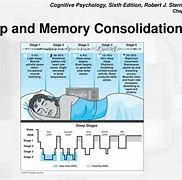 Image result for Memory Consolidation PPT