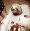 Image result for Sloth in Space Suit